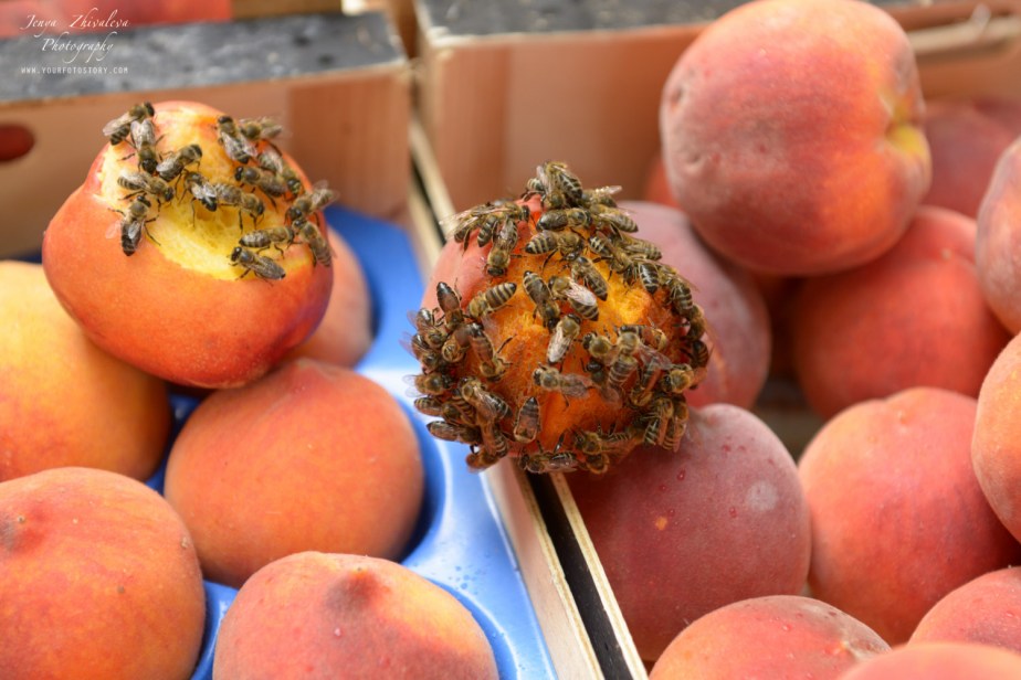 Jenya Zhivaleva Photography. Your Foto Story