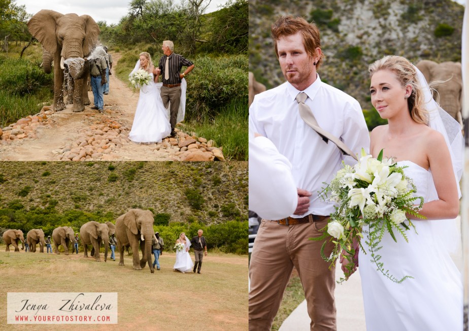 Jenya Zhivaleva Photography. Your Foto Story