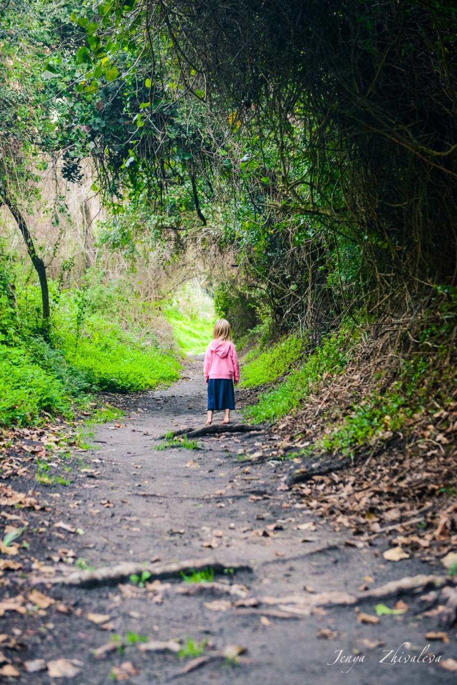 Forest Family Shoot