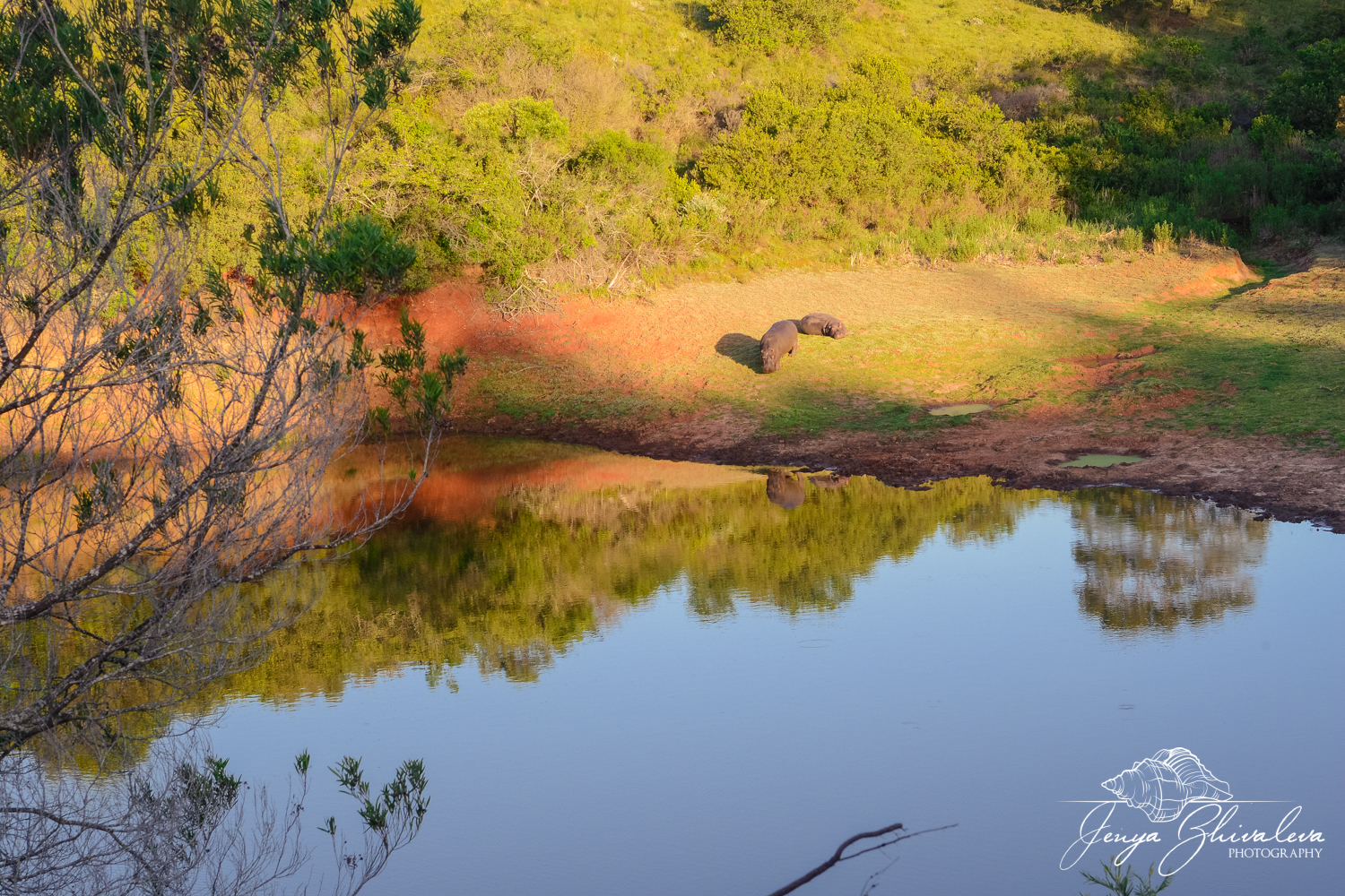 Jenya Zhivaleva Photography.www.yourfotostory.com