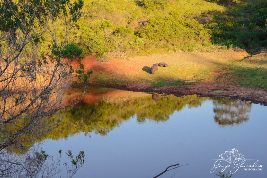 Jenya Zhivaleva Photography.www.yourfotostory.com