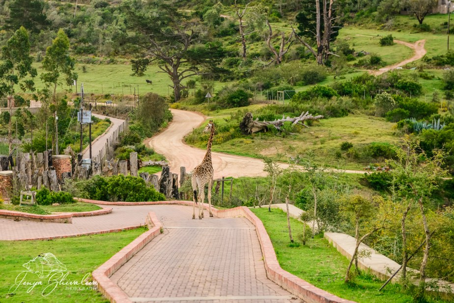 Jenya Zhivaleva Photography.www.yourfotostory.com